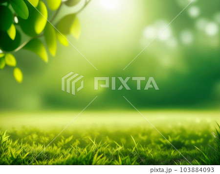 Green blurred background and sunlight 103884093