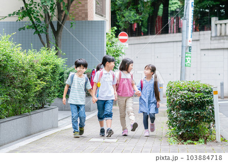 手を繋いで歩道を歩く小学生 103884718