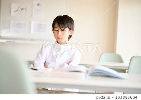 勉強をする小学生の男の子 103885604