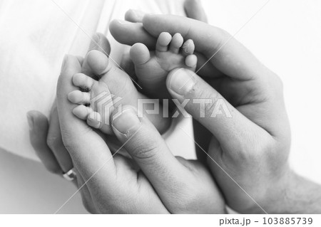 The palms of the father, the mother are holding the foot of the newborn baby on white background. Feet of the newborn on the palms of the parents. Photography of a child's toes, heels and feet. 103885739