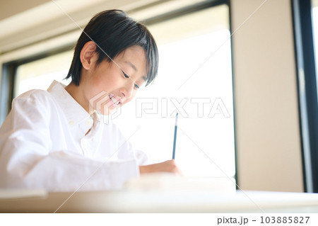 勉強をする小学生の男の子 勉強をする小学生の男の子 103885827