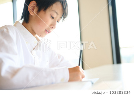 勉強をする小学生の男の子 勉強をする小学生の男の子 103885834