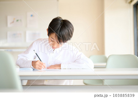 勉強をする小学生の男の子 勉強をする小学生の男の子 103885839