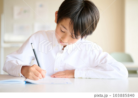 勉強をする小学生の男の子 103885840