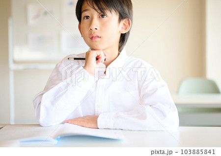 勉強をする小学生の男の子 103885841