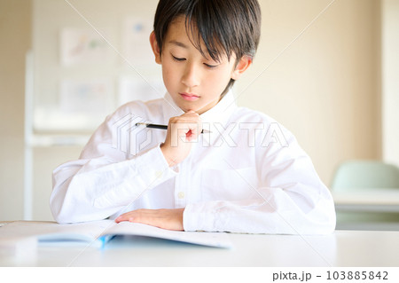 勉強をする小学生の男の子 103885842