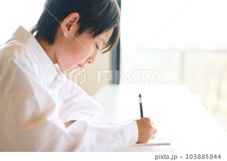 勉強をする小学生の男の子 103885844