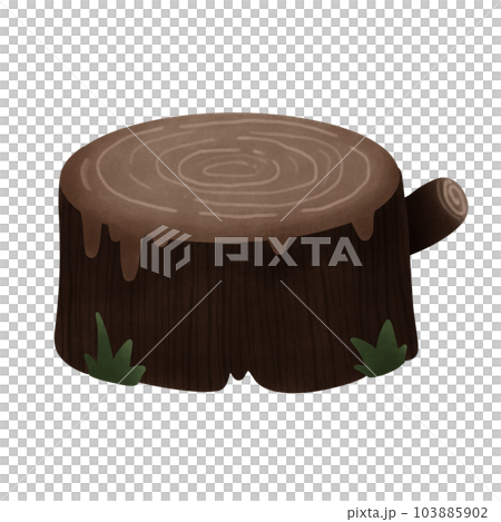 tree wood stump 103885902