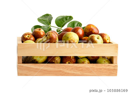 Jujube fruit in wooden box isolate on white background with clipping path. Jujube fruit in wooden box isolate on white background with clipping path. 103886169
