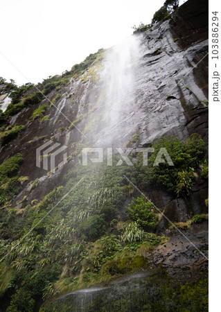 Milford Sound / Piopiotahi /ミルフォードサウンド Milford Sound / Piopiotahi /ミルフォードサウンド 103886294