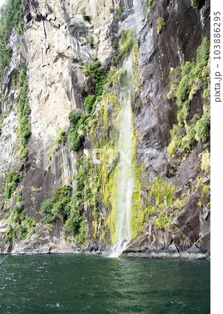 Milford Sound / Piopiotahi /ミルフォードサウンド Milford Sound / Piopiotahi /ミルフォードサウンド 103886295