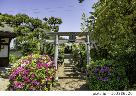加古川　尾上神社　一本稲荷神社　兵庫県加古川市 103886326
