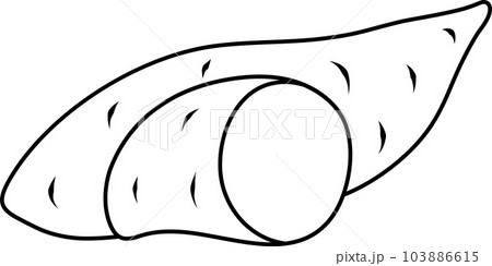 vector linear icon of sweet potatoes, greens and vegetables, spices and herbs, vitamin A, doodle and sketch 103886615