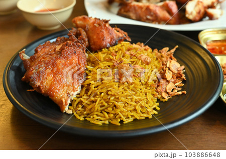Dum Handi chicken Biryani  in plate . Popular Indian  food. Dum Handi chicken Biryani  in plate . Popular Indian  food. 103886648