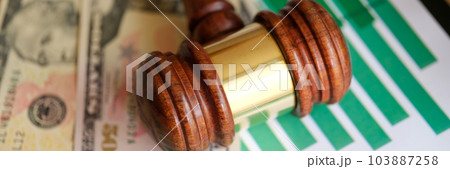 Judge gavel, banknotes and business financial documents with statistics data Judge gavel, banknotes and business financial documents with statistics data 103887258