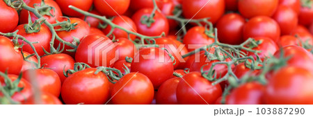 Ripe red cherry tomatoes with green leaves on market Ripe red cherry tomatoes with green leaves on market 103887290