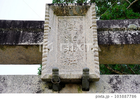 焼津神社 静岡県焼津市焼津 焼津神社 静岡県焼津市焼津 103887786