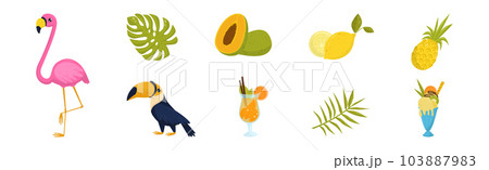 Tropical Elements with Cocktail, Ice Cream, Flamingo, Fruits and Leaf Vector Set 103887983