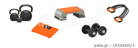 Various Gym Equipment and Training Apparatus Vector Set Various Gym Equipment and Training Apparatus Vector Set 103888023