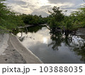 Philippines The river flowing down from the mountains flows into the sea on the shores of pollution with plastic and other garbage ecology 103888035