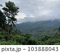 Tropical mountains covered with jungle low clouds of palm trees and tropical plants 103888043