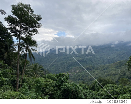 Tropical mountains covered with jungle low clouds of palm trees and tropical plants 103888043