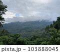 Tropical mountains covered with jungle low clouds of palm trees and tropical plants 103888045