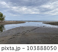 Sandbar is formed at low tide of water waves gently caress warm sand 103888050