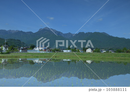 北杜市白州町、田植えの済んだ田んぼに映る南アルプス甲斐駒の山並み 103888111