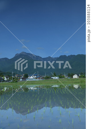 北杜市白州町、田植えの済んだ田んぼに映る南アルプス甲斐駒の山並み 北杜市白州町、田植えの済んだ田んぼに映る南アルプス甲斐駒の山並み 103888114