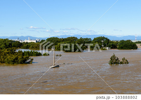 令和元年東日本台風・大雨で水没した荒川と彩湖道満グリーンパーク 令和元年東日本台風・大雨で水没した荒川と彩湖道満グリーンパーク 103888802