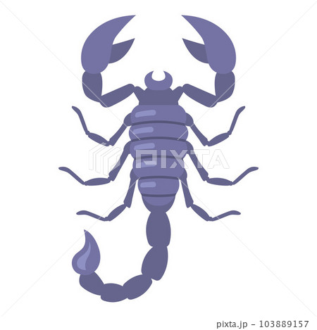 gray scorpion with large claws on a white background. 103889157