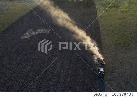 Direct sowing for grazing, Argentine meat production. Direct sowing for grazing, Argentine meat production. 103889439