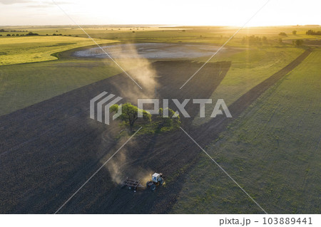 Direct sowing for grazing, Argentine meat production. Direct sowing for grazing, Argentine meat production. 103889441