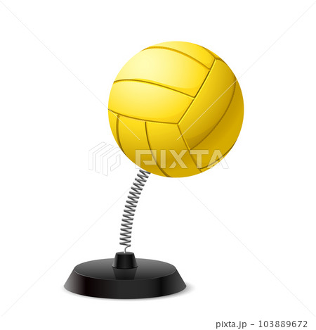 Volleyball souvenir 103889672