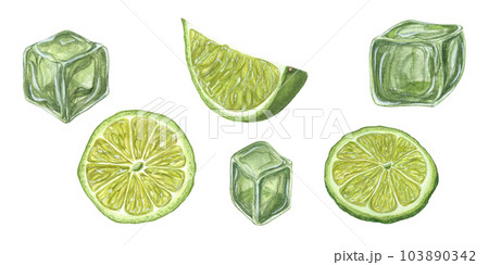 Watercolor set of Lime slices, green Ice Cubes isolated on white background. Botanical illustration for menu, celebration design, cocktail party, flyer, posters 103890342