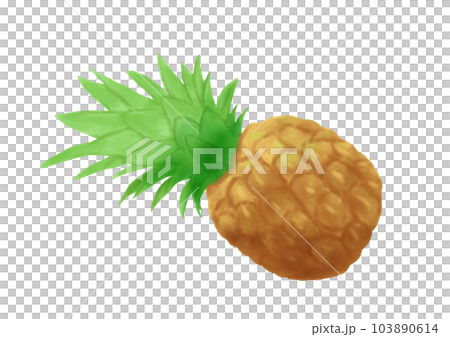 パイナップル単体のイラスト(手描き) パイナップル単体のイラスト(手描き) 103890614