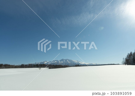 北海道の雪原広がる冬景色 北海道の雪原広がる冬景色 103891059