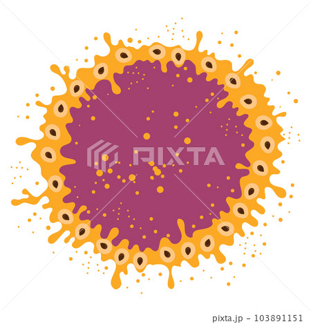 Vector Passion Fruit Pattern with Brown Seeds on Orange Background. Tropical Food Texture 103891151