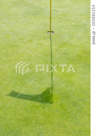 ゴルフのグリーンとホール 103891153
