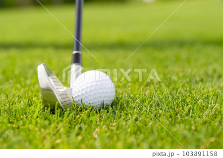 ゴルフのグリーンとホール 103891158