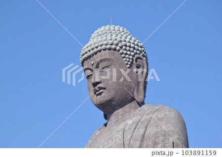 牛久大仏 世界最大のブロンズ立像 牛久大仏 世界最大のブロンズ立像 103891159
