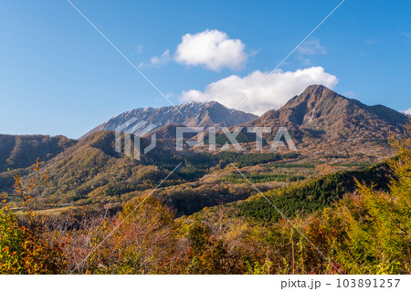 蒜山大山スカイライン　鬼女台展望台からの紅葉 103891257