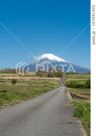 初夏の富士山に向かう道 103891405