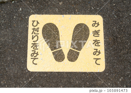歩道に描かれた停止案内 103891473