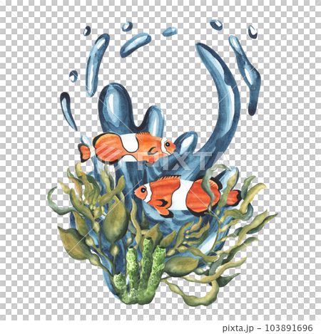 Clownfish composition with algae seaweed kelp and water splash underwater. Hand drawn watercolor illustration isolated on white background. For cards, design,decoration, package 103891696
