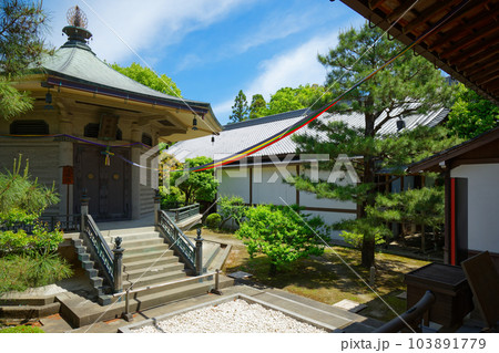 大覚寺 若葉に新緑 青もみじ 大覚寺 若葉に新緑 青もみじ 103891779