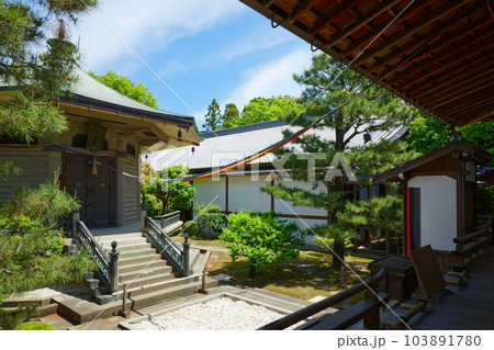大覚寺 若葉に新緑 青もみじ 大覚寺 若葉に新緑 青もみじ 103891780