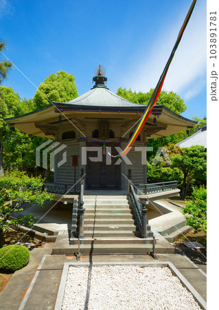 大覚寺 若葉に新緑 青もみじ 大覚寺 若葉に新緑 青もみじ 103891781