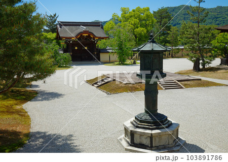大覚寺 若葉に新緑 青もみじ 大覚寺 若葉に新緑 青もみじ 103891786